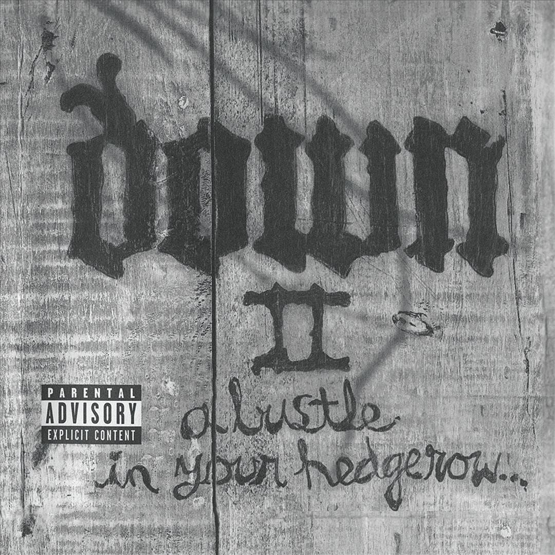 Down II (A Bustle in Your Hedgerow) cover art