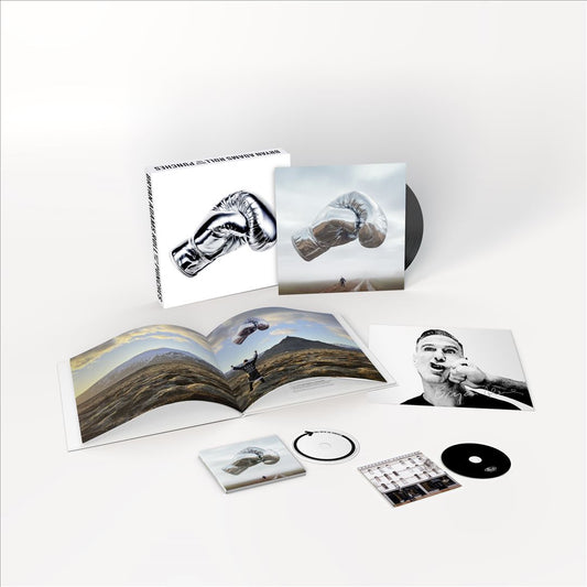 Roll With the Punches [Deluxe] cover art