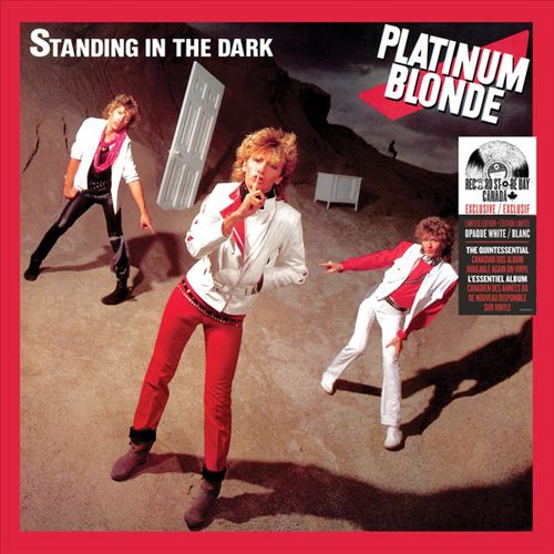 Standing in the Dark cover art