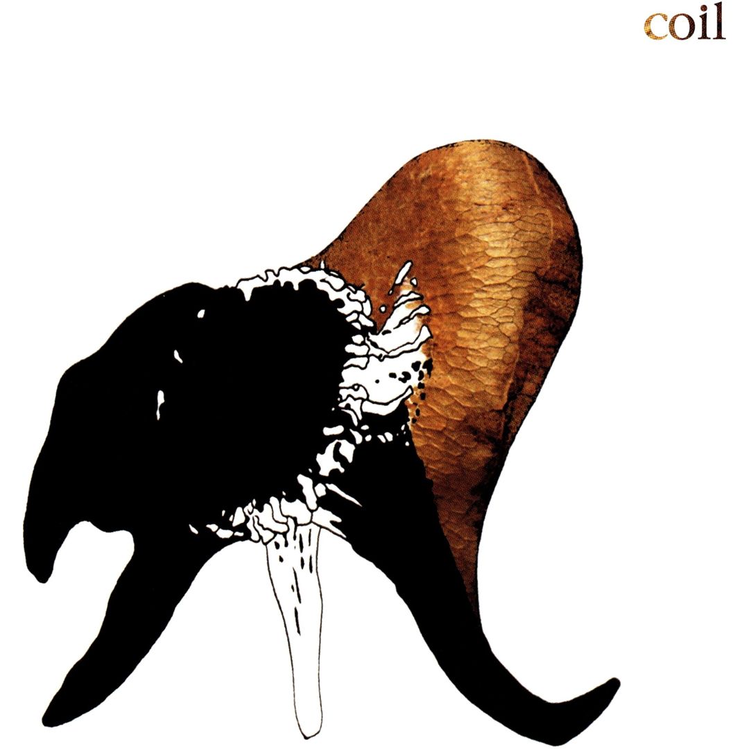 Black Antlers cover art