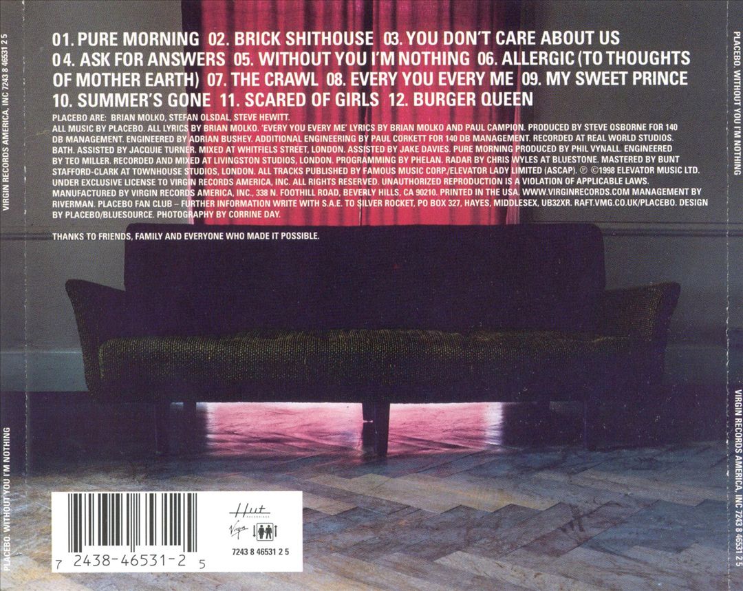 Without You I'm Nothing cover art