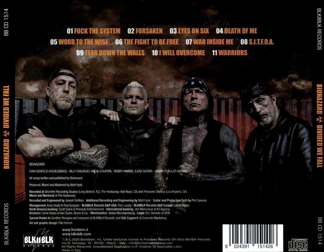 Divided We Fall cover art