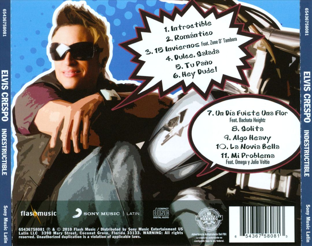 Indestructible cover art