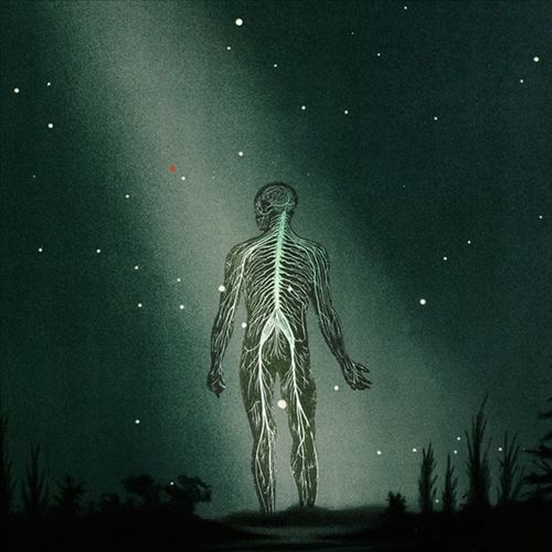 Maury Island Reverie cover art
