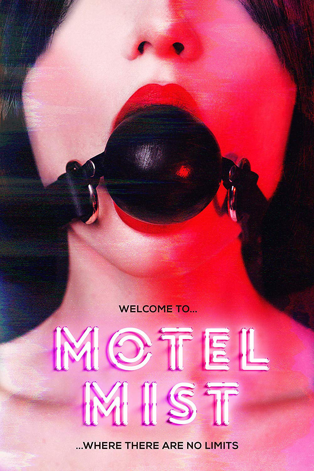 Motel Mist cover art