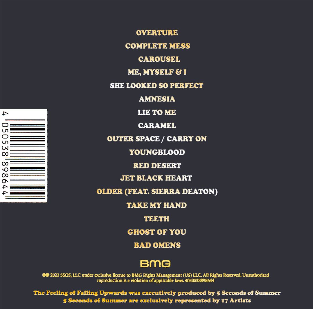 Feeling of Falling Upwards [Live From the Royal Albert Hall] cover art