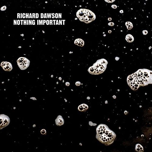 Nothing Important [LP] cover art