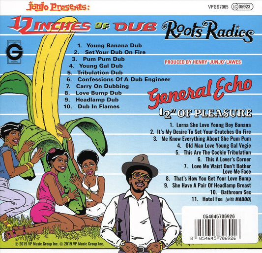 12 Inches of Dub cover art