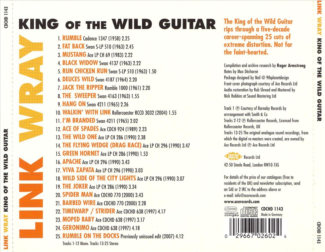 King of the Wild Guitar cover art