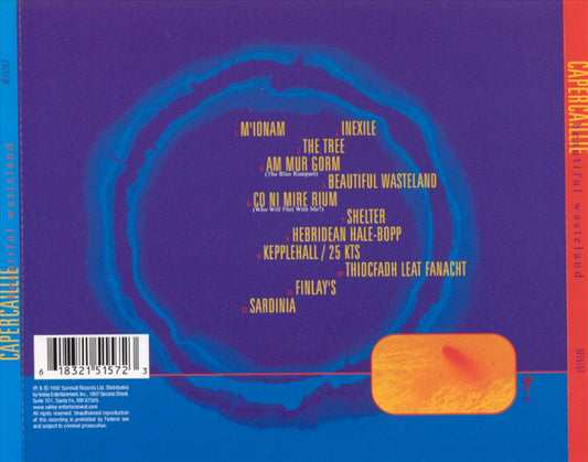 Beautiful Wasteland cover art