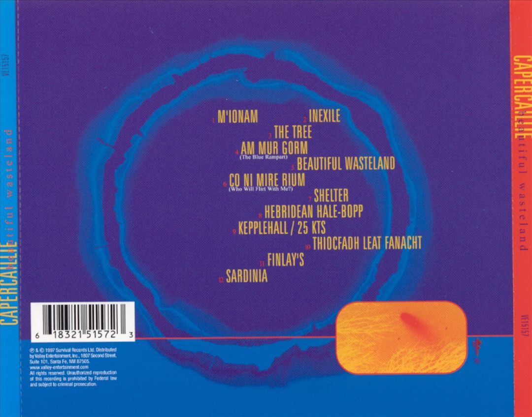Beautiful Wasteland cover art