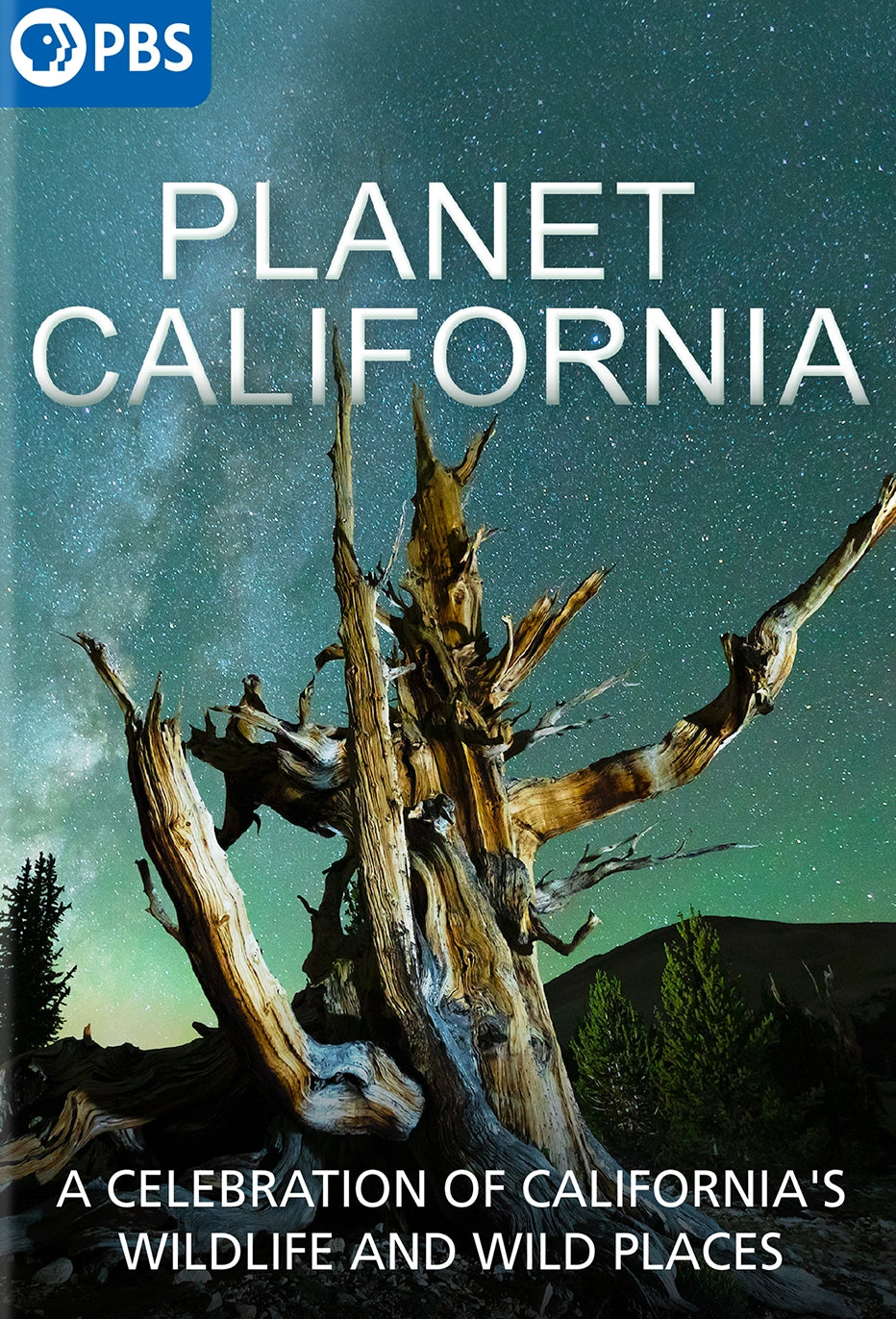 Planet California cover art