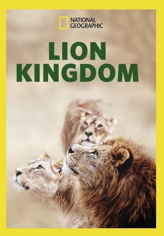 National Geographic: Lion Kingdom cover art