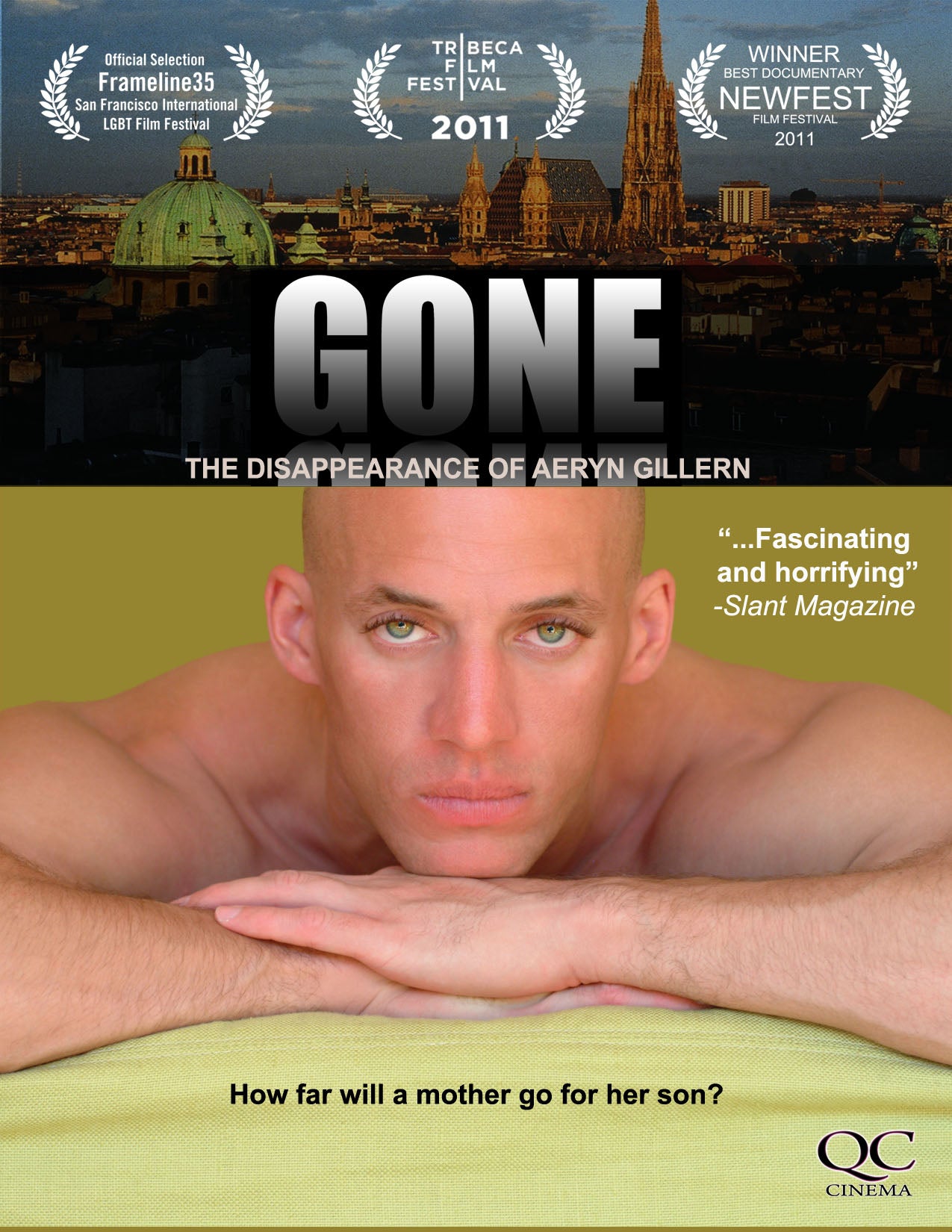 Gone: The Disappearance of Aeryn Gillern cover art