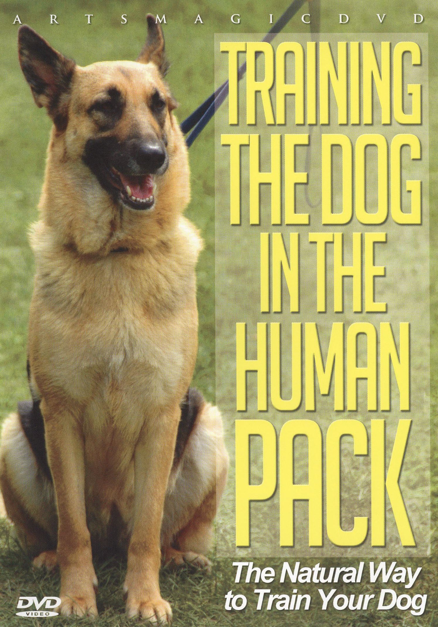 Training The Dog In The Humanpack (USA Import) cover art
