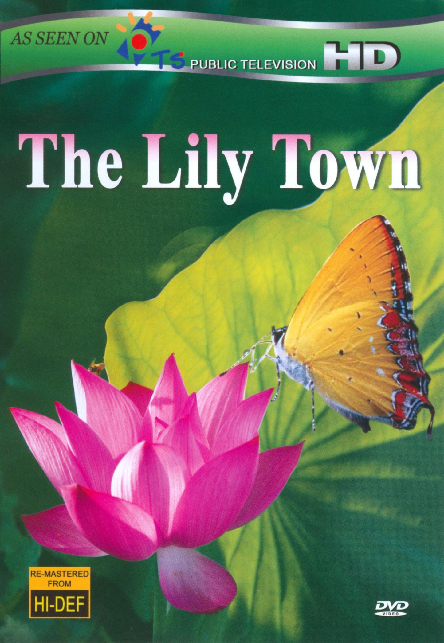Lily Town cover art