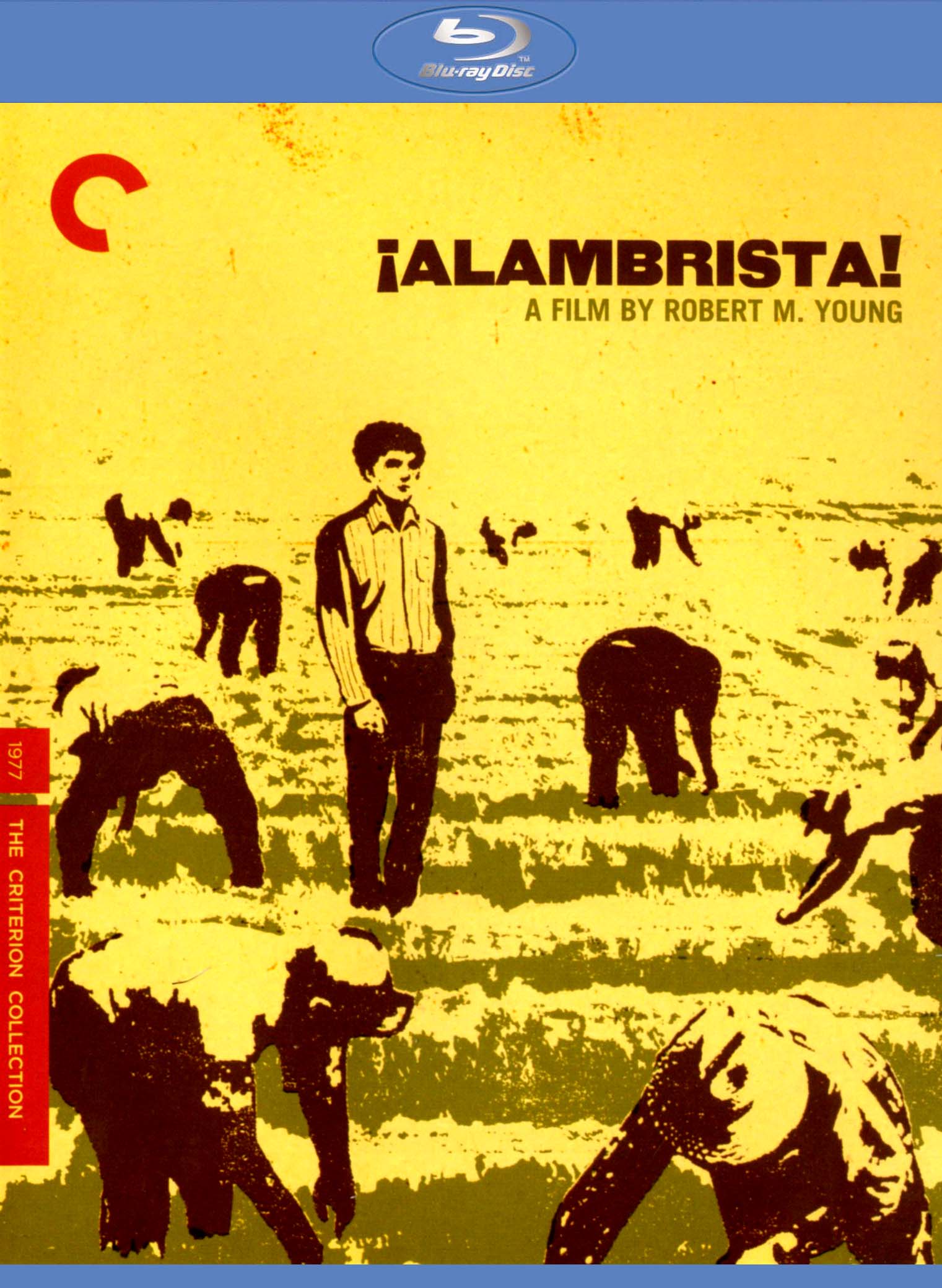 Alambrista! [Criterion Collection] [Blu-ray] cover art