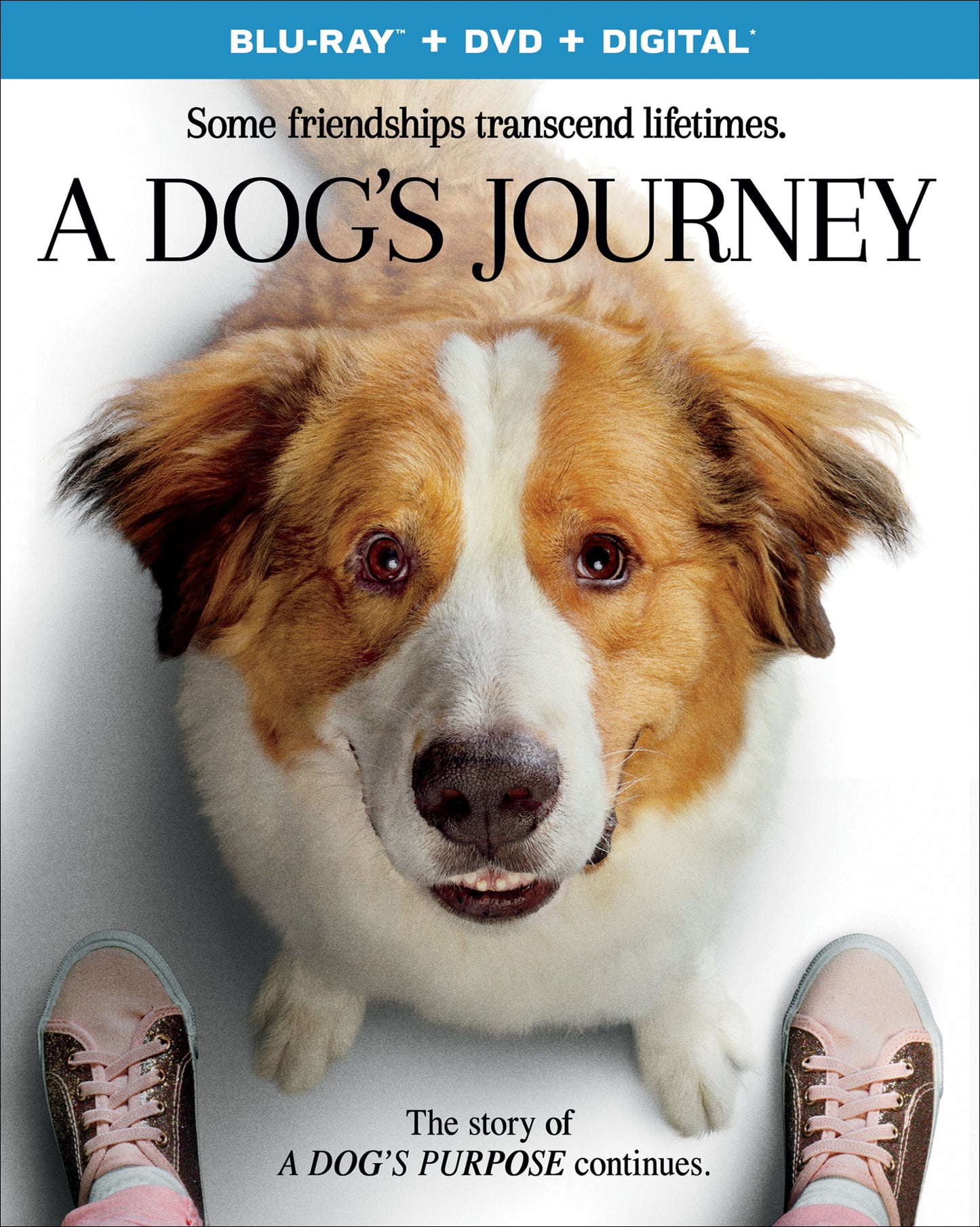 Dog's Journey [Includes Digital Copy] [Blu-ray/DVD] cover art