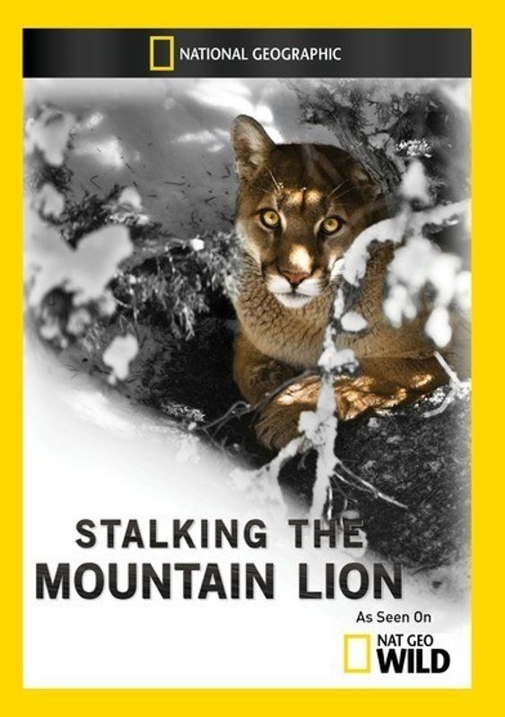 Stalking the Mountain Lion cover art