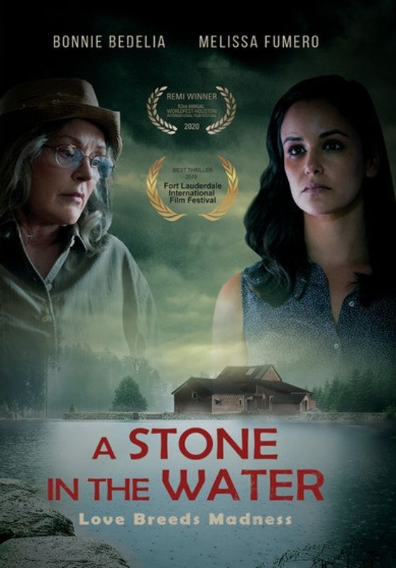Stone in the Water cover art
