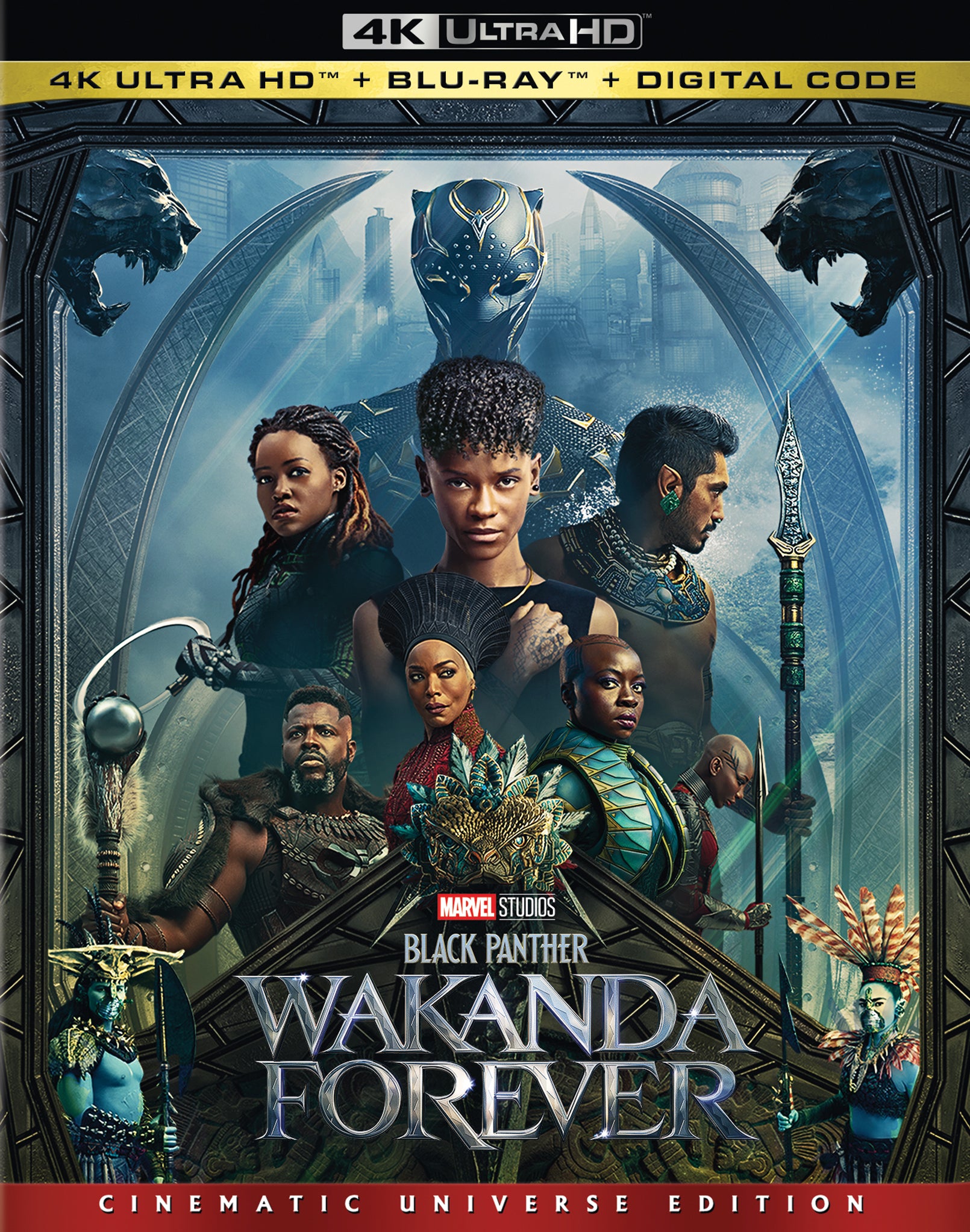 Black Panther: Wakanda Forever [Includes Digital Copy] [4K Ultra HD Blu-ray/Blu-ray] cover art