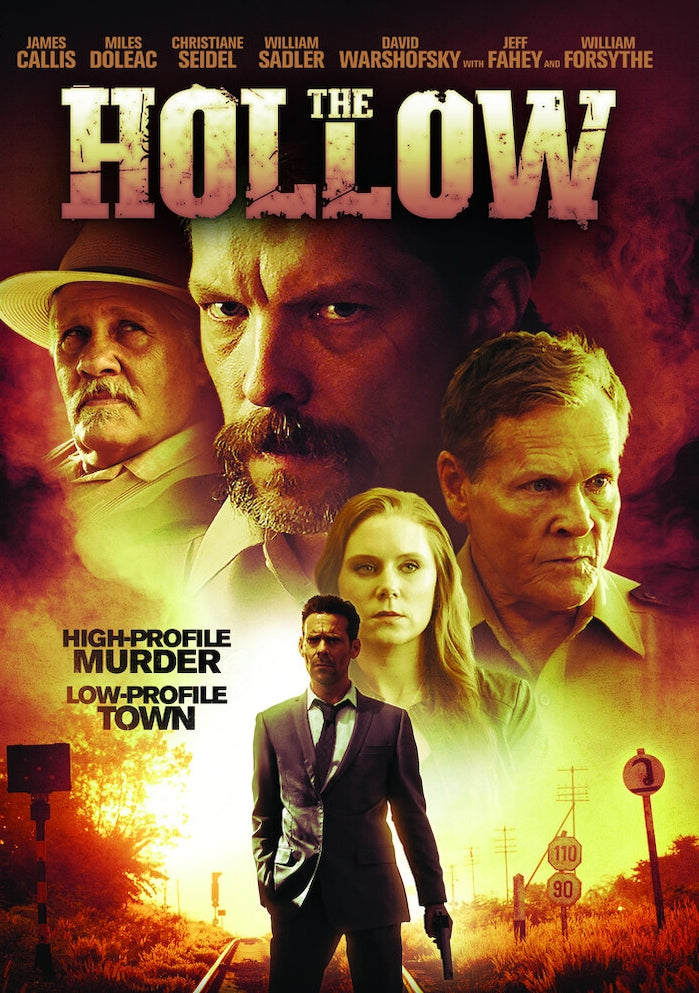 Hollow cover art