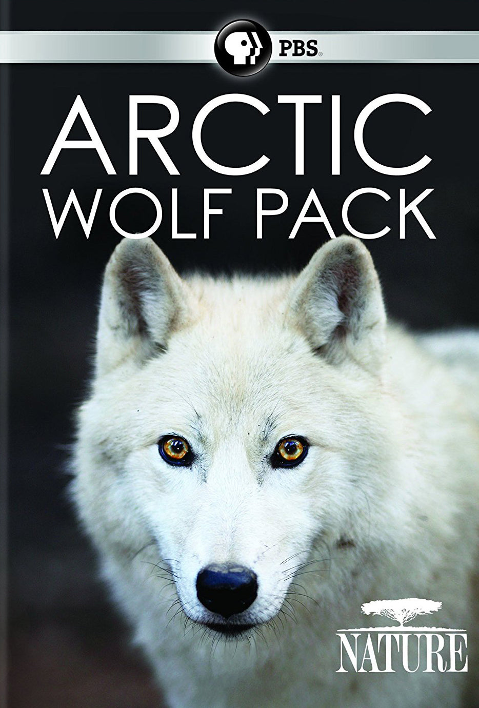 Nature: Arctic Wolf Pack cover art