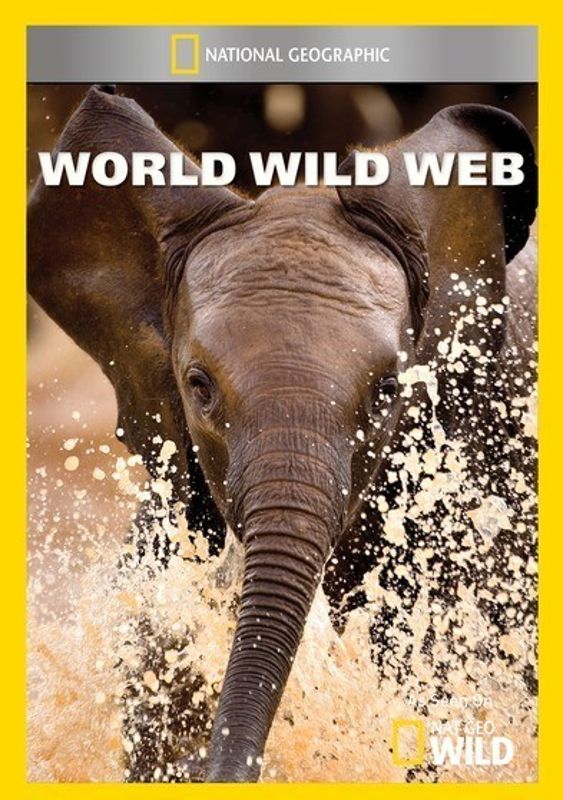 World Wild Web cover art