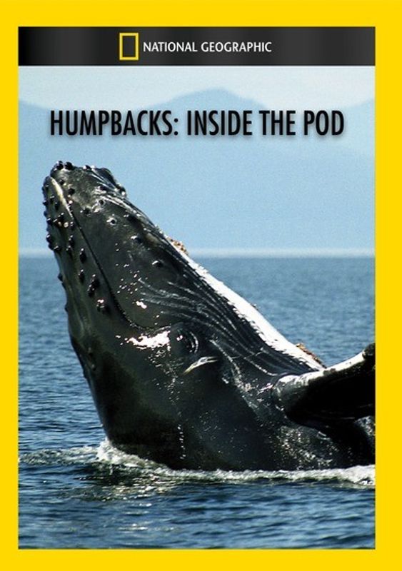 Humpbacks: Inside the Pod cover art