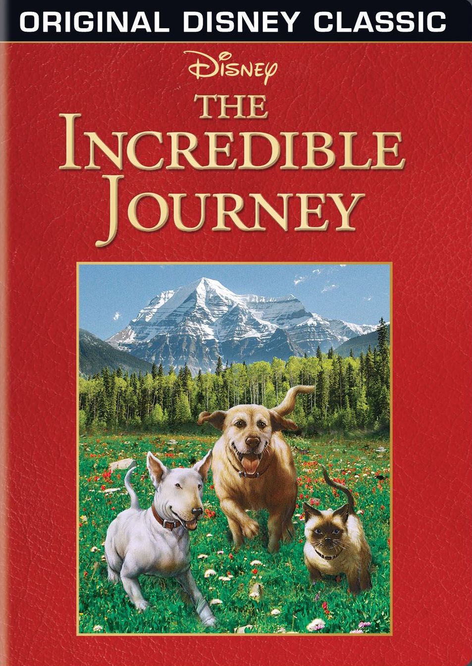 Incredible Journey cover art