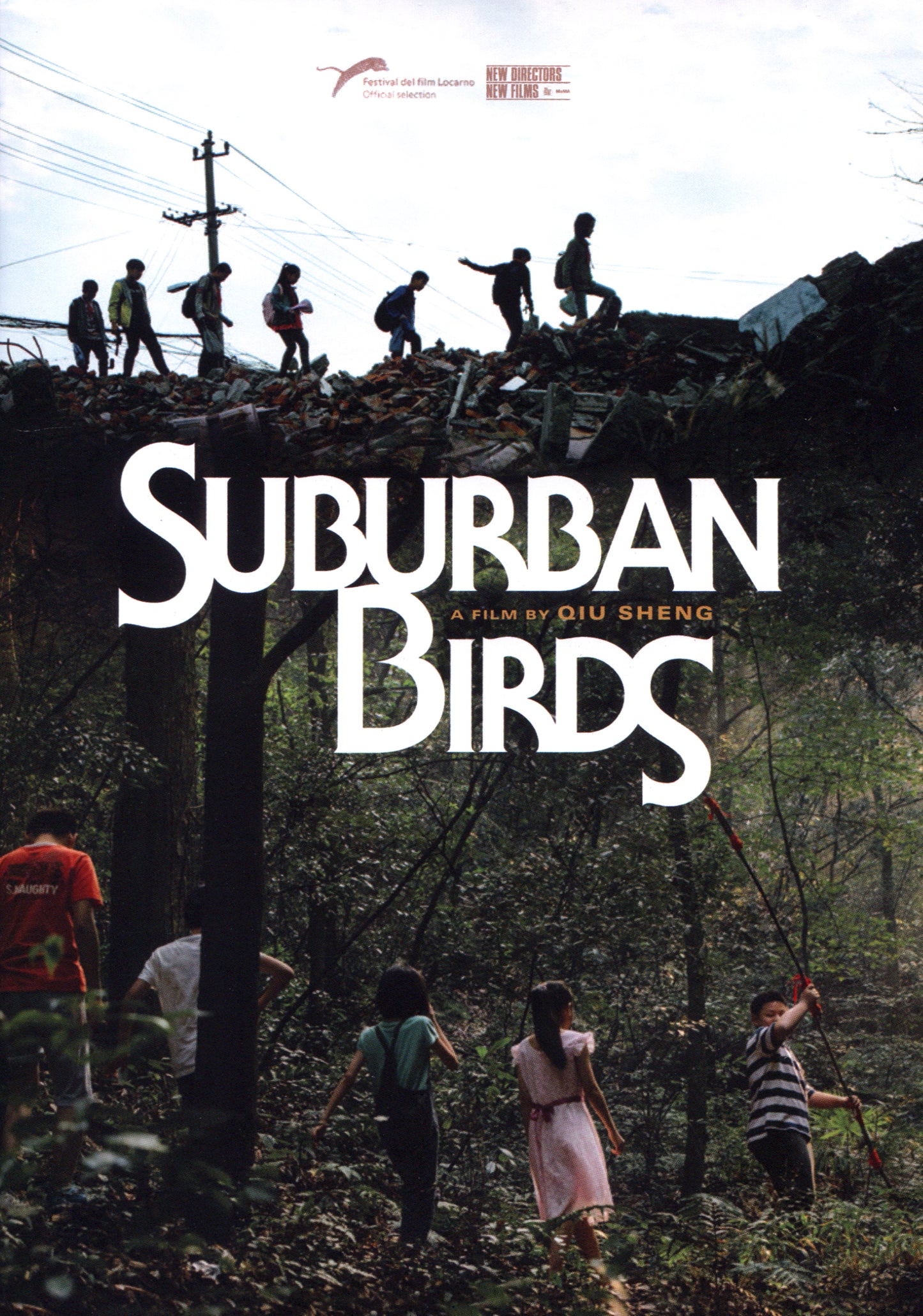 Suburban Birds cover art
