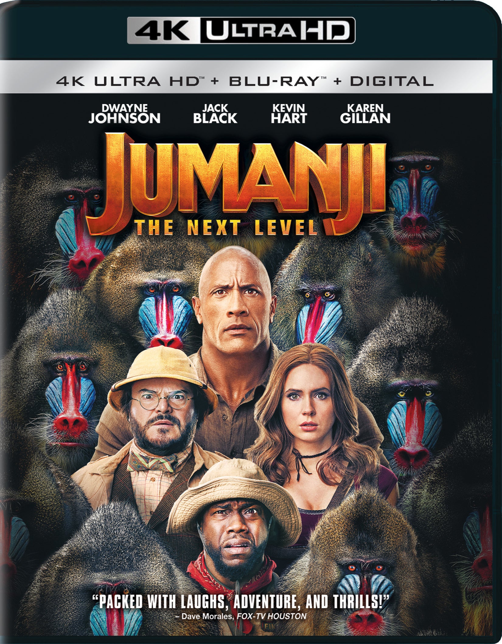 Jumanji: The Next Level [Includes Digital Copy] [4K Ultra HD Blu-ray/Blu-ray] cover art