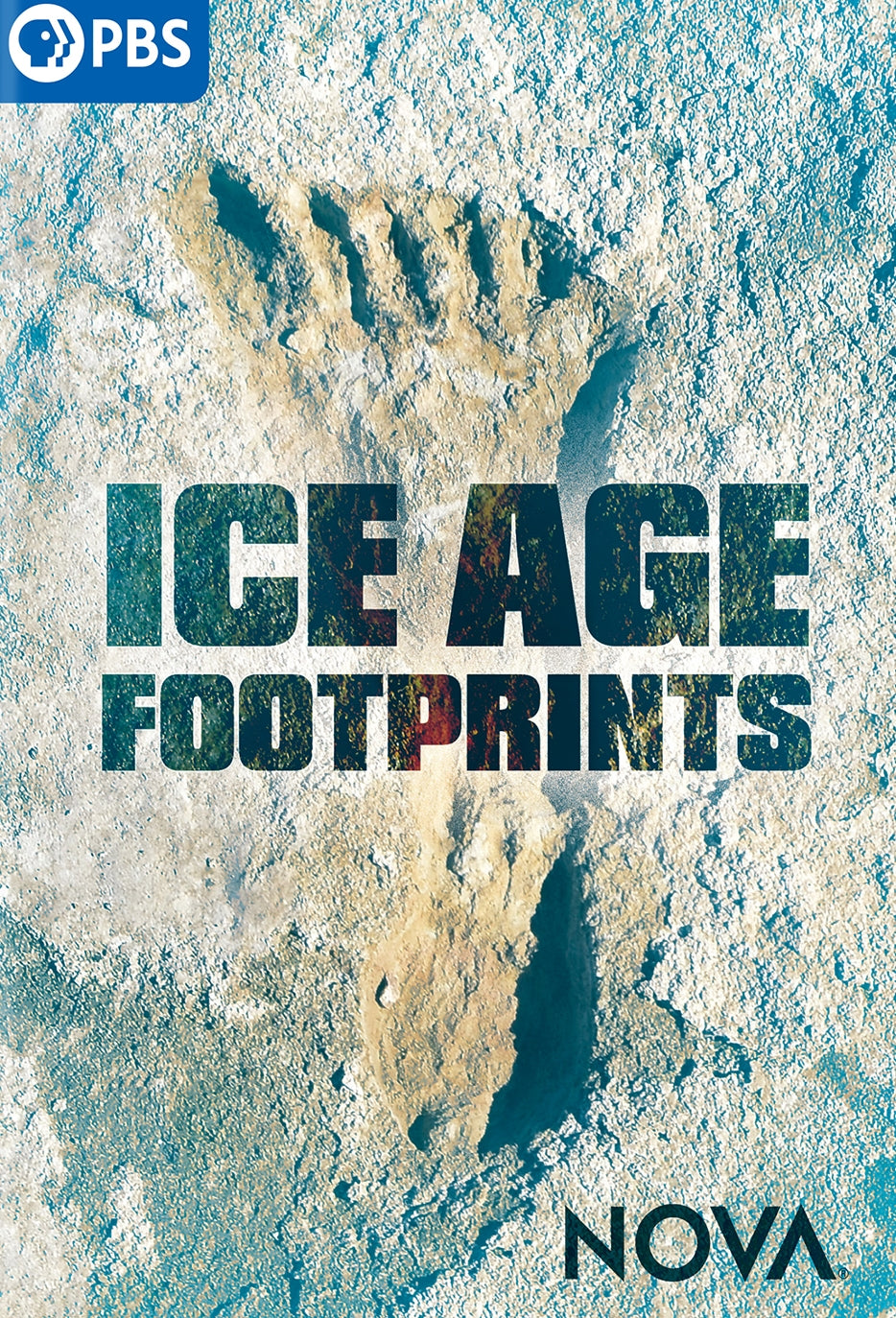 NOVA: Ice Age Footprints cover art