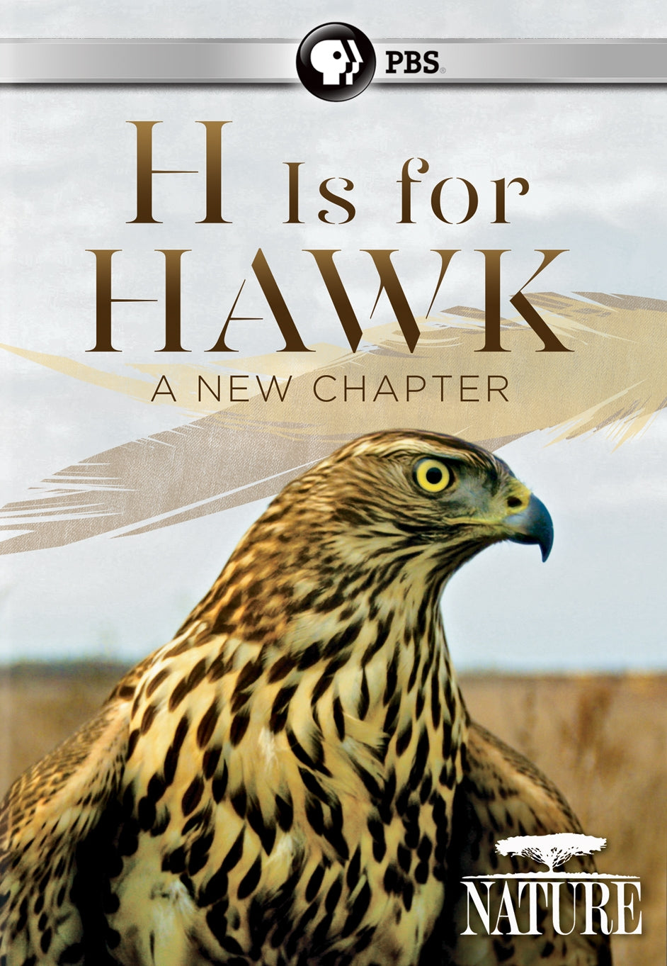 Nature: H Is for Hawk - A New Chapter cover art