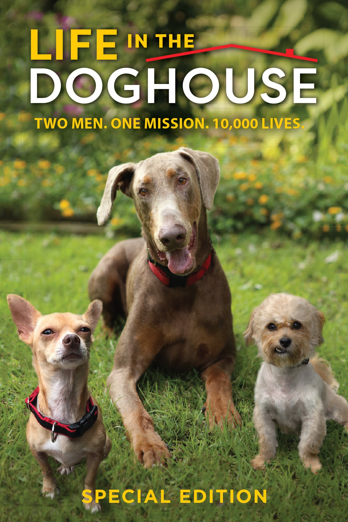 Life in the Doghouse cover art