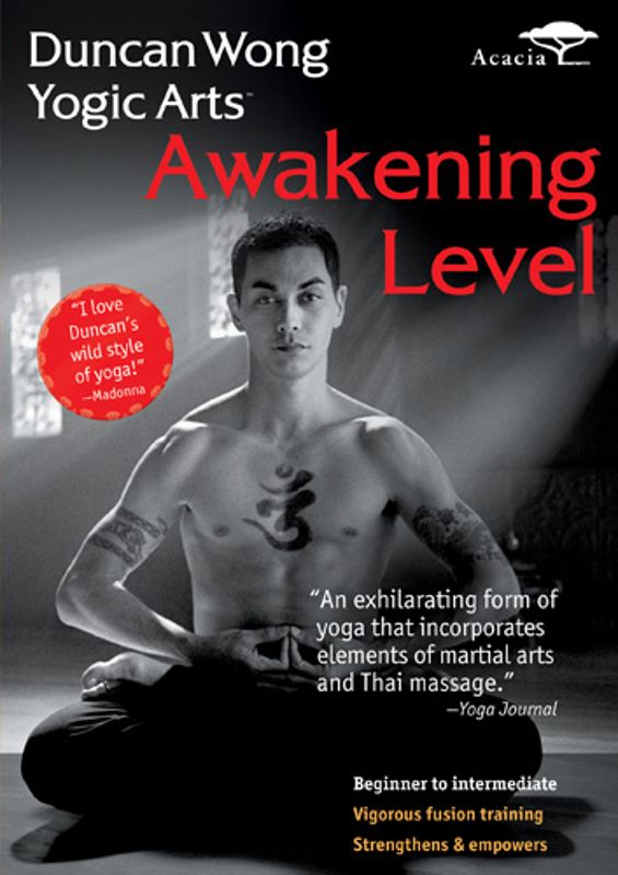 Duncan Wong Yogic Arts: Awakening Level cover art
