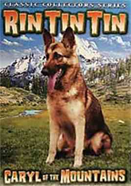 Rin Tin Tin Collection - Vol. 1 cover art