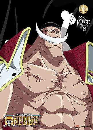 ONE PIECE: COLLECTION 19 cover art