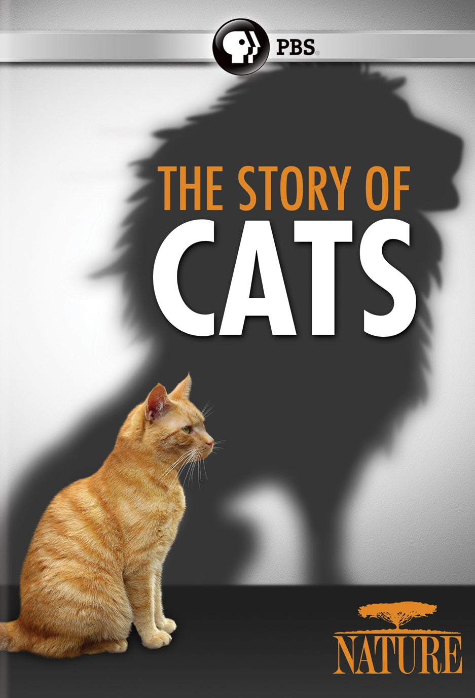 Nature: The Story of Cats cover art