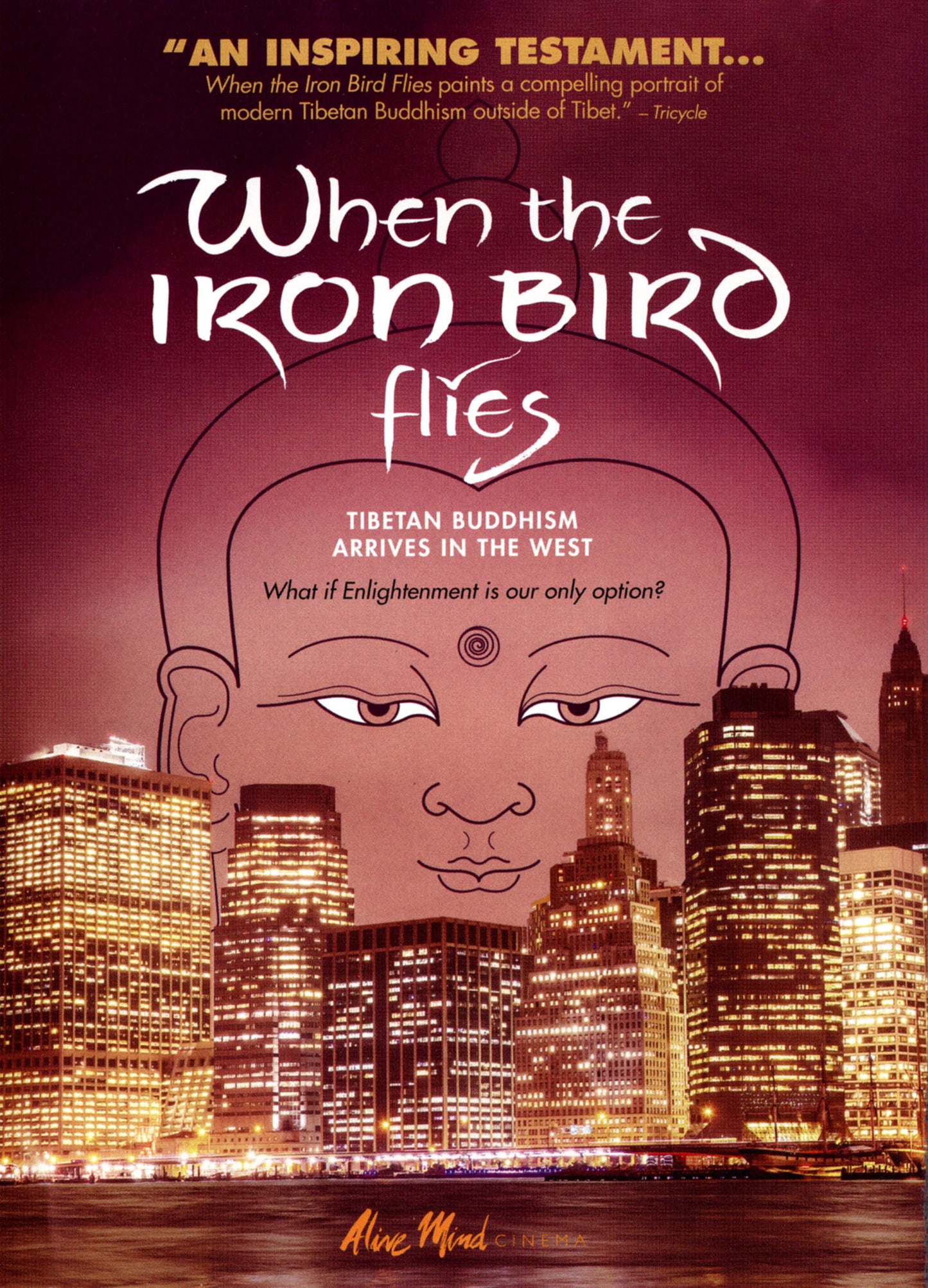 When the Iron Bird Flies cover art