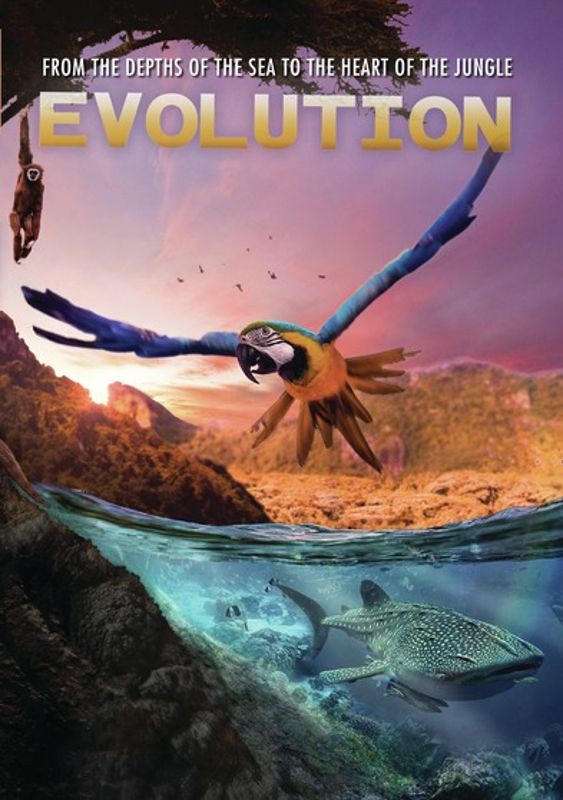 Evolution cover art