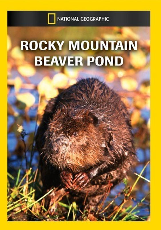 National Geographic: Rocky Mountain Beaver Pond cover art