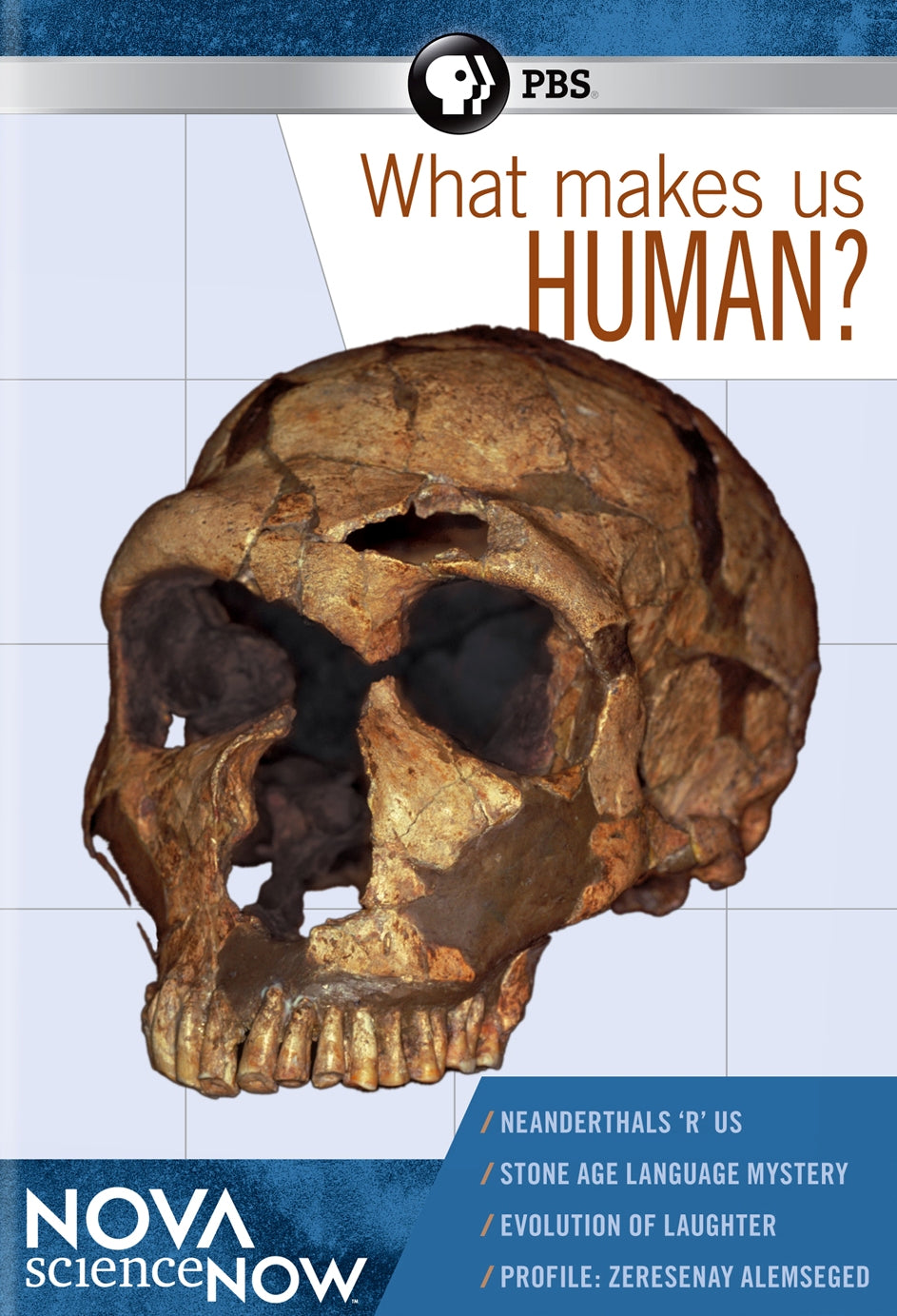 NOVA scienceNOW: What Makes Us Human? cover art