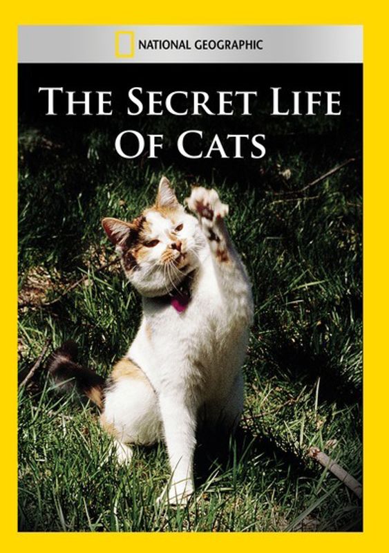 National Geographic: The Secret Life of Cats cover art
