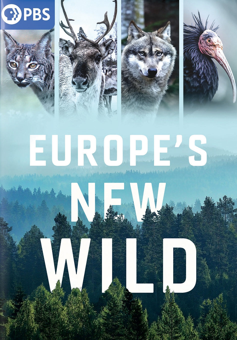 Europe's New Wild [2 Discs] cover art