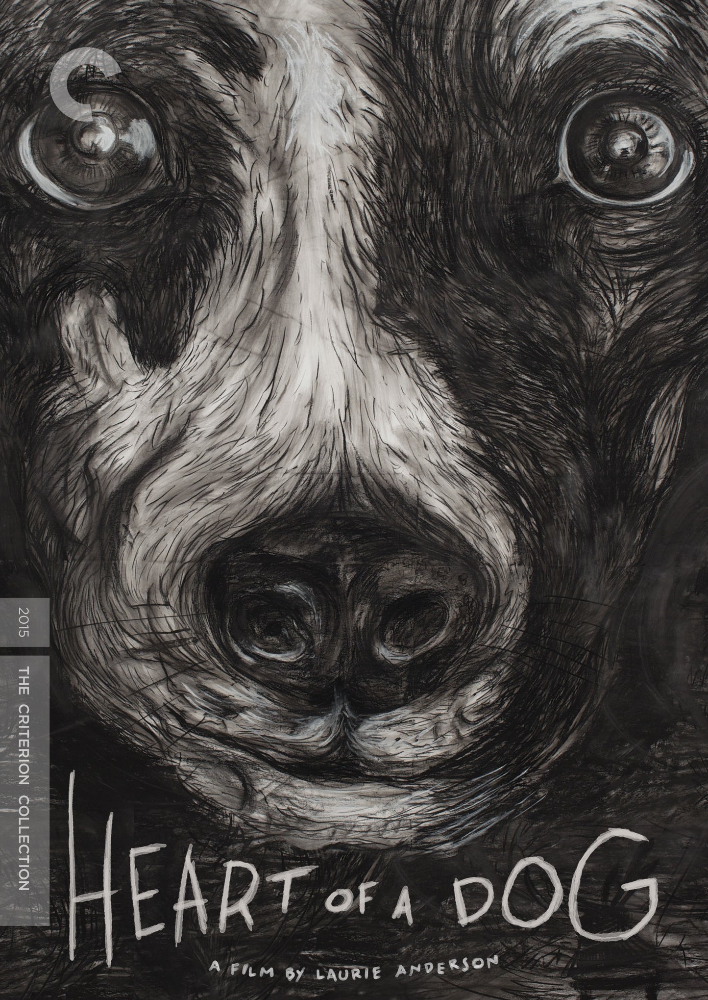 Heart of a Dog [Criterion Collection] cover art
