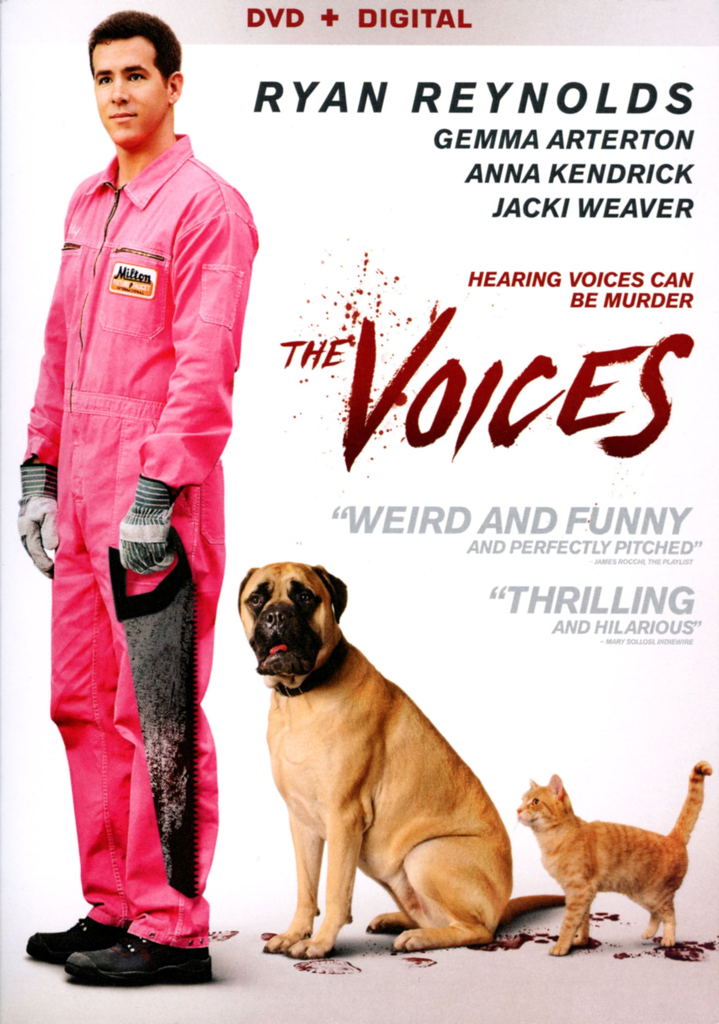 Voices cover art