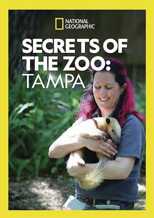 National Geographic: Secrets of the Zoo - Tampa cover art