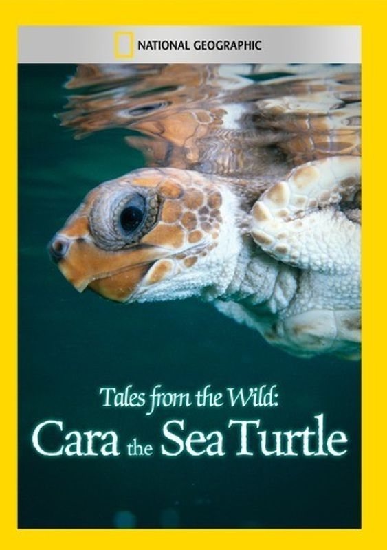 Tales from the Wild: Cara the Sea Turtle cover art