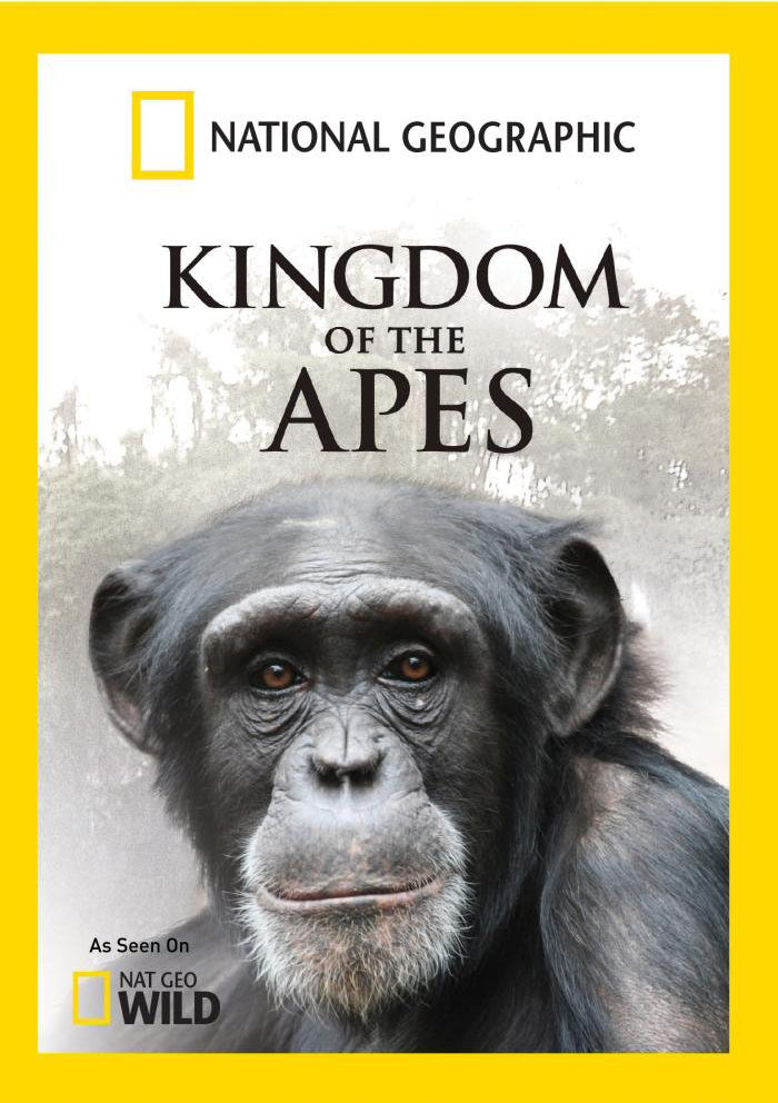 National Geographic: Kingdom of the Apes cover art